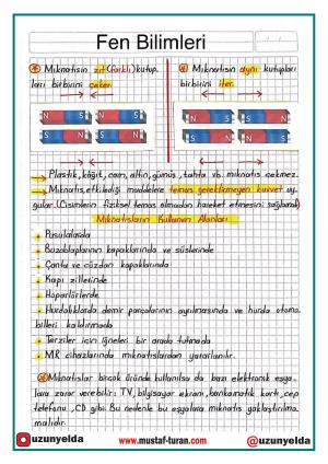 4. Sınıf 15. Hafta Etkinlikleri