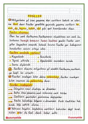 Actividades de la segunda semana de 4to grado