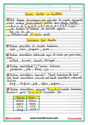 4th Grade 3rd Week Activities