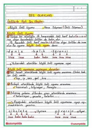 4. Sınıf 3. Hafta Etkinlikleri