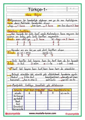 4th Grade 5th Week Activities