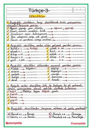 4. Sınıf 5. Hafta Etkinlikleri