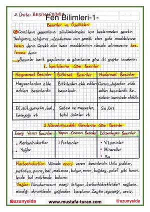 4th Grade 6th Week Activities