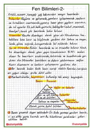 4. Sınıf 6. Hafta Etkinlikleri