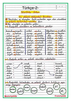 4. Sınıf 6. Hafta Etkinlikleri