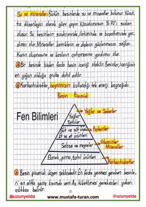 4. Sınıf 7. Hafta Etkinlikleri