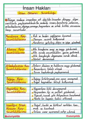 4. Sınıf 7. Hafta Etkinlikleri