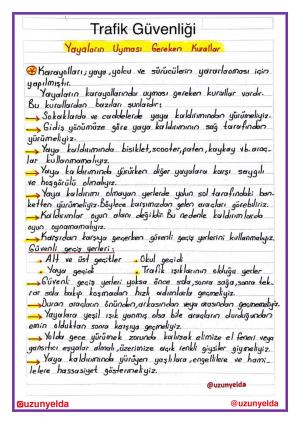 4th Grade 7th Week Activities