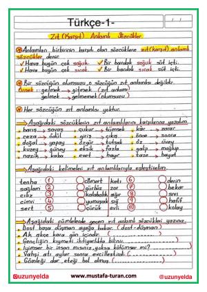 4. Sınıf 7. Hafta Etkinlikleri