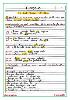 4th Grade 7th Week Activities