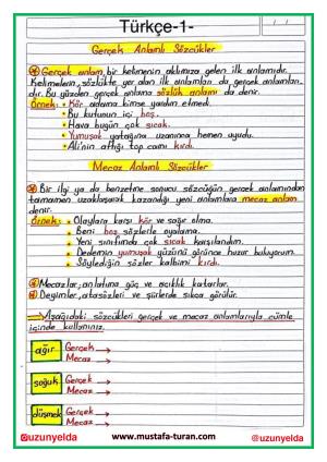 Actividades de la octava semana de 4to grado