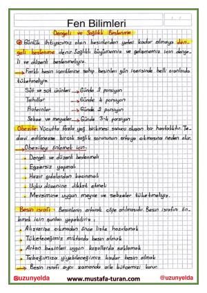 4th Grade 9th Week Activities