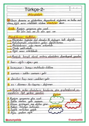 4th Grade 9th Week Activities