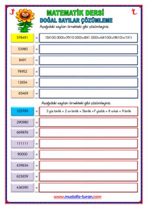 Doğal Sayıları Çözümleme Etkinliği -8