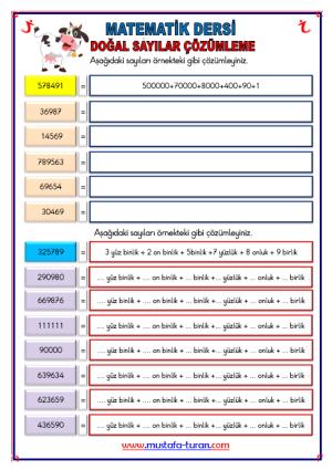 Doğal Sayıları Çözümleme Etkinliği -9