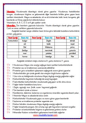 Besinlerimiz Ve Özellikleri Etkinliği