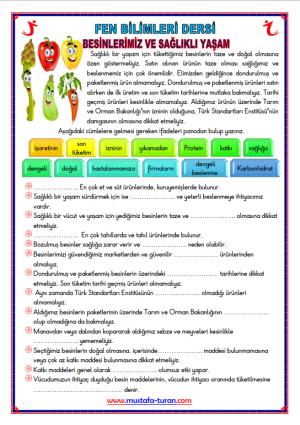 Besinlerimiz ve Sağlıklı Yaşam Etkinliği