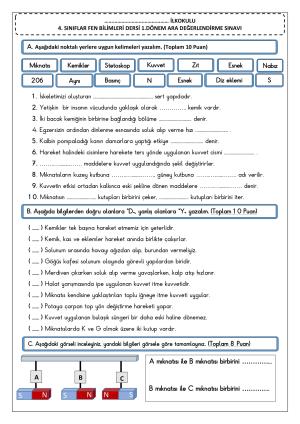 Fen Bilimleri 1. Dönem Ara Değerlendirme