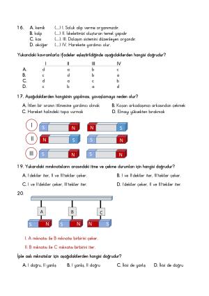 Kuvvet Ve Hareket Konu Değerlendirme Çalışması 2