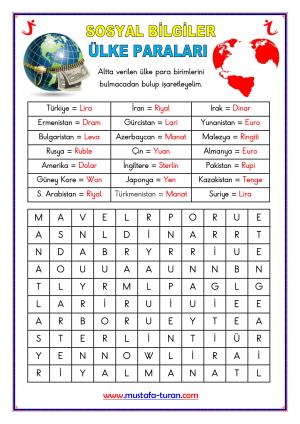 Global Connections Topic Summary and Activity Studies