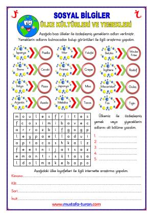 Global Connections Topic Summary and Activity Studies