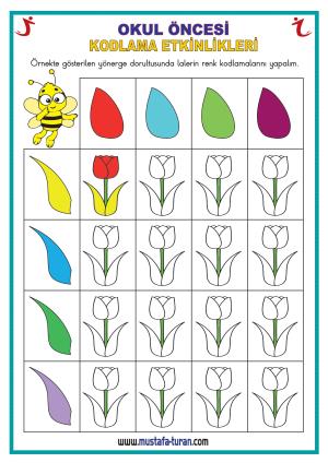 Actividades de codificación preescolar