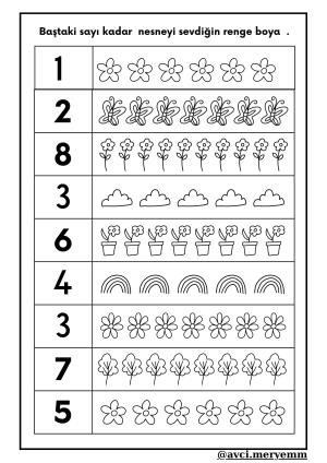 Number and Number Activities