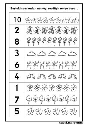 Number and Number Activities