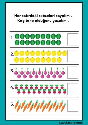 Number and Number Activities