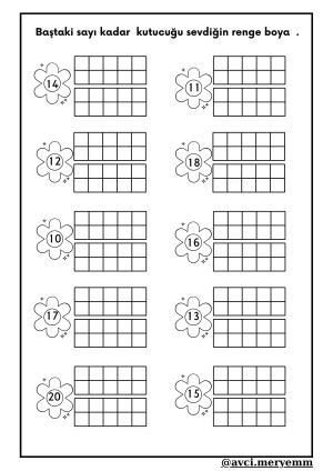 Number and Number Activities