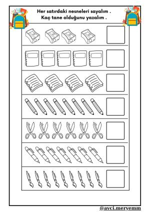 Number and Number Activities