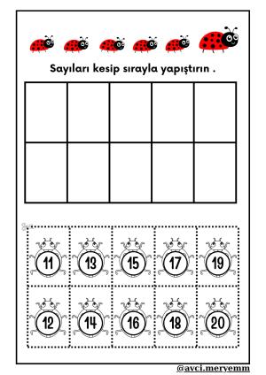 Number and Number Activities