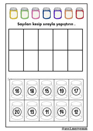 Number and Number Activities