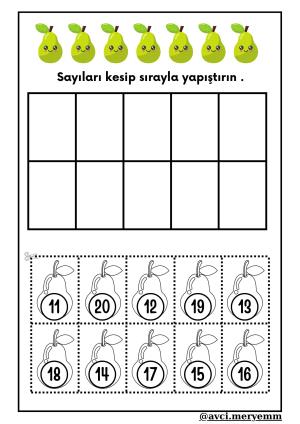 Number and Number Activities