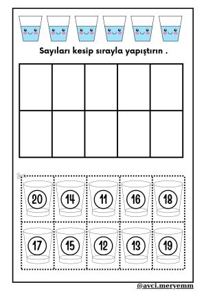 Number and Number Activities