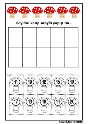 Number and Number Activities