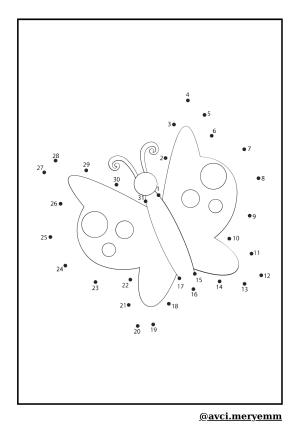 Number and Number Activities