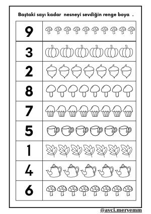 Number and Number Activities