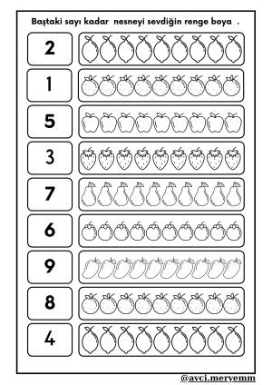 Number and Number Activities