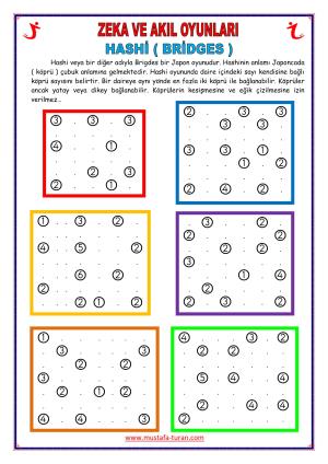 Hashi ( Bridges ) Etkinlikleri-2
