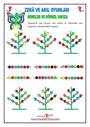 Renkler ve Görsel Hafıza Aktiviteleri-50