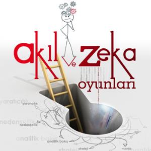 MEB ZEKA OYUNLARI KAKURO