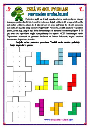 Pentomino Etkinlikleri-21