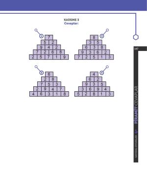 Zeka Oyunları Eğitmen Eğitimi Çalışma Kitabı