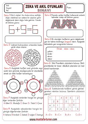 Zeka ve Akıl Oyunları Sınavı-10