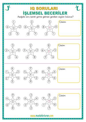 IQ Zeka Soruları-20