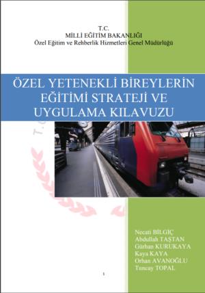 Özel Yetenekli Bireylerin Eğitimi Strateji ve Uygulama Kılavuzu (Yeni)   