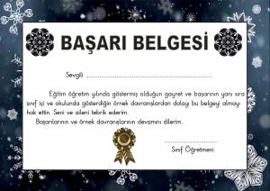 Başarı Belgeleri