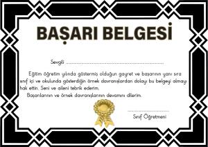 Başarı Belgeleri