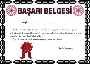 Başarı Belgeleri